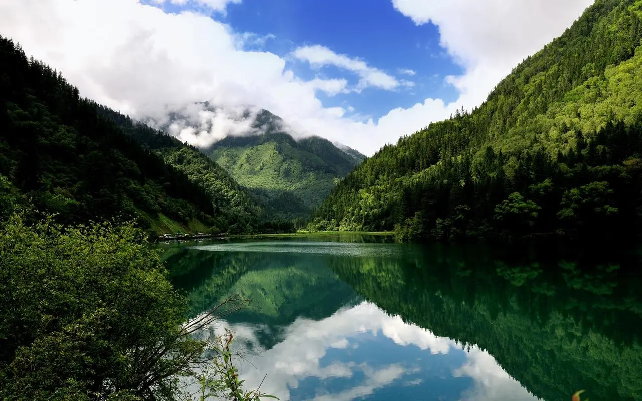 高效高性能